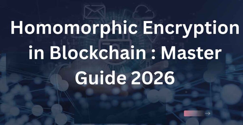 Homomorphic Encryption in Blockchain : Master Guide